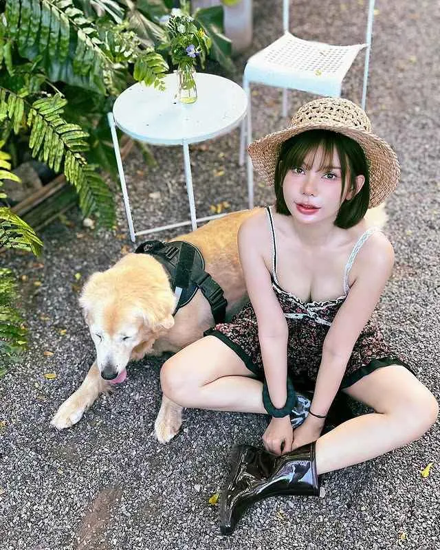 โนเกียร์